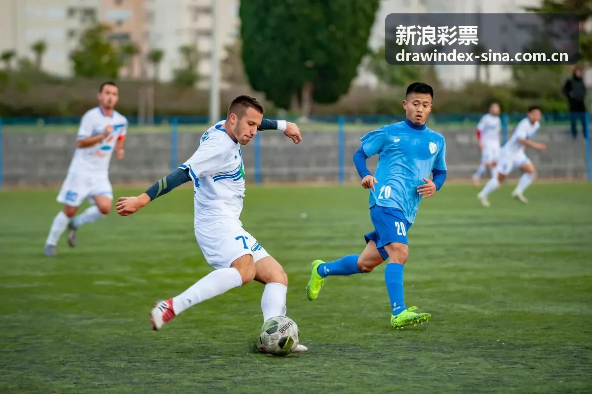 新浪彩票七乐彩数据复盘案例记录